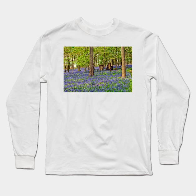 Bluebells Bluebell Woods Greys Court Oxfordshire UK Long Sleeve T-Shirt by AndyEvansPhotos